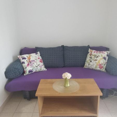 Apartment Savic ستاريغغاد باكلينتسا المظهر الخارجي الصورة