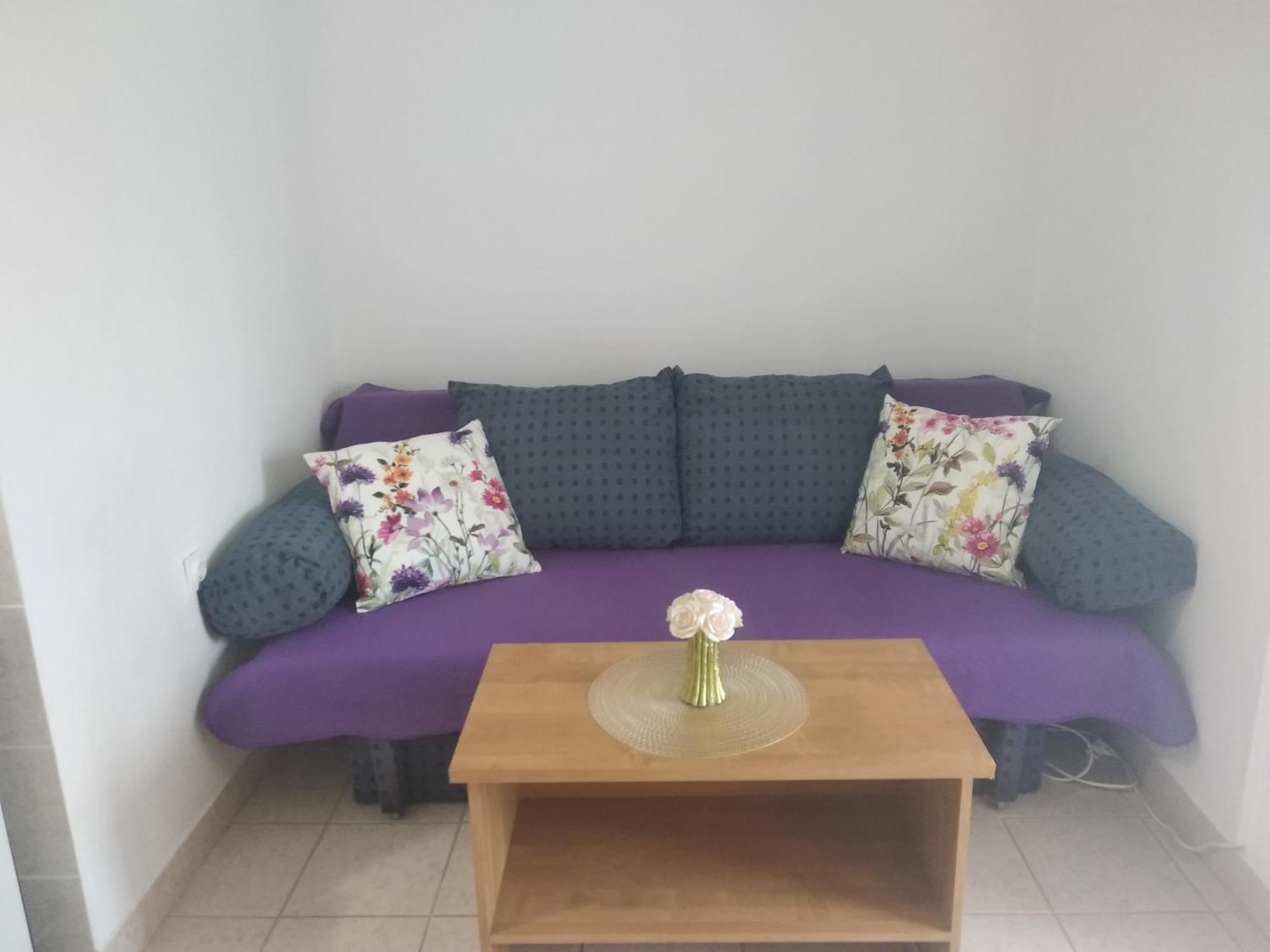 Apartment Savic ستاريغغاد باكلينتسا المظهر الخارجي الصورة