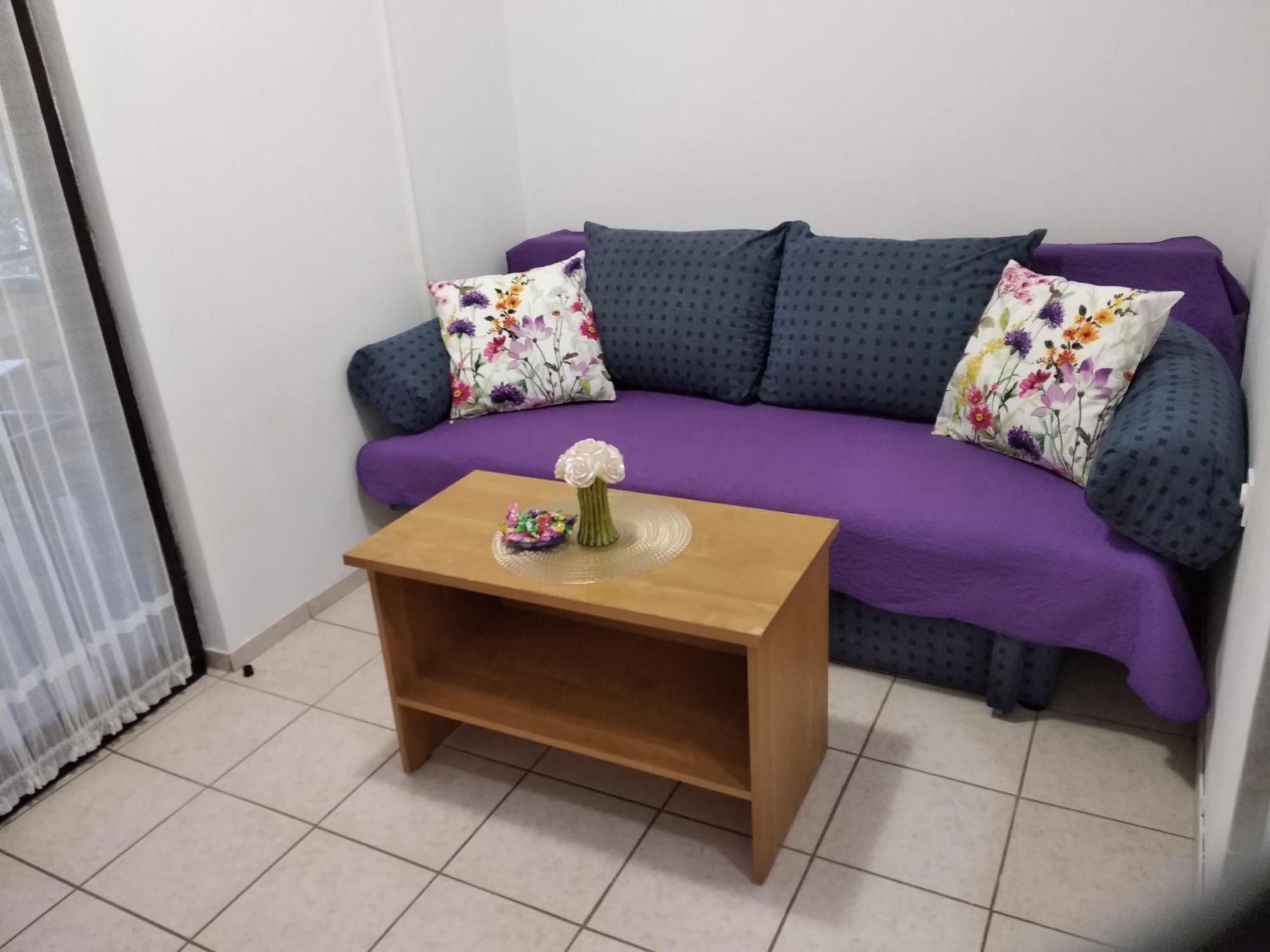 Apartment Savic ستاريغغاد باكلينتسا المظهر الخارجي الصورة